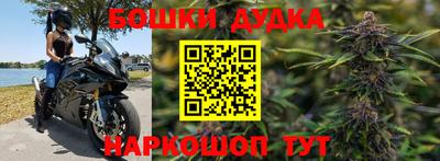 шишки Новодвинск