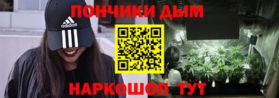 шишки Новодвинск