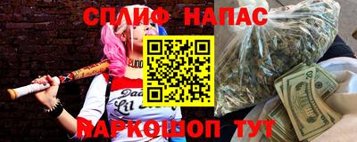 шишки Новодвинск