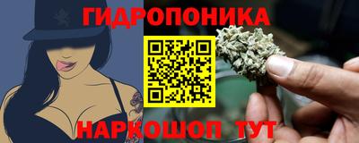 альфа пвп Новокубанск