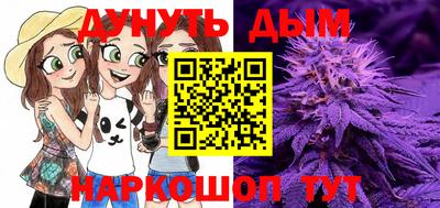 альфа пвп Новокубанск