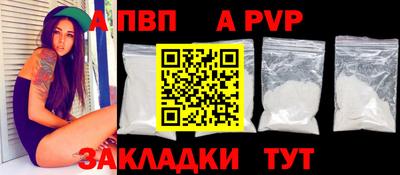шишки Новодвинск