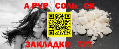 шишки Новодвинск