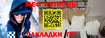 шишки Новодвинск
